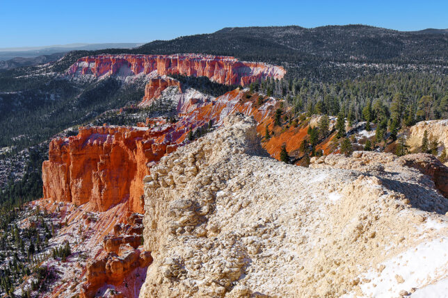 a snow covered mountain with trees