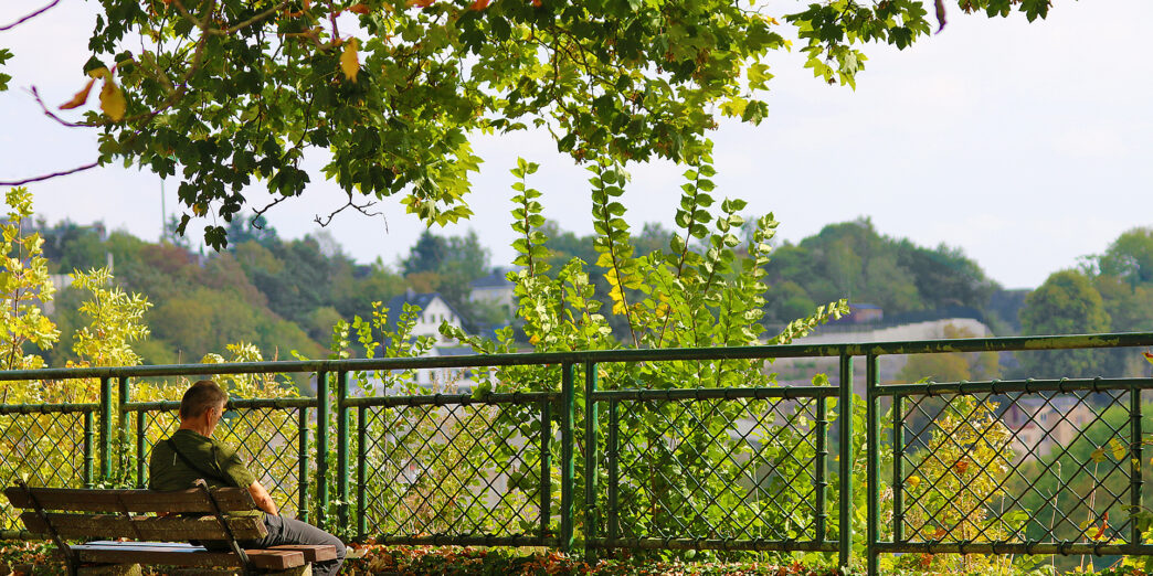a man sitting on a bench under a tree