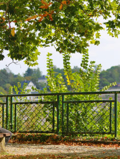 a man sitting on a bench under a tree