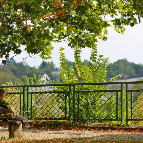 a man sitting on a bench under a tree