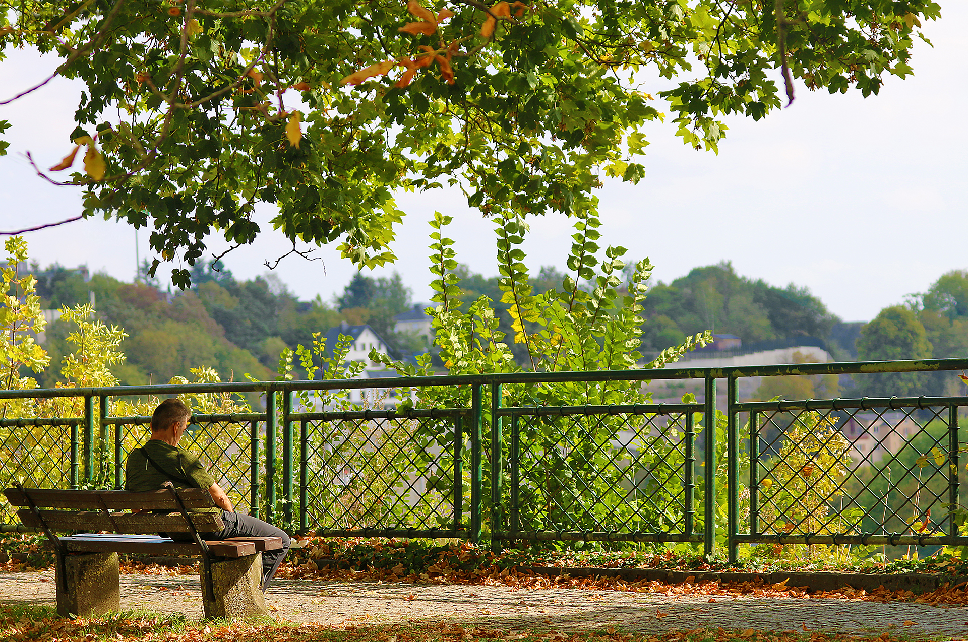 a man sitting on a bench under a tree