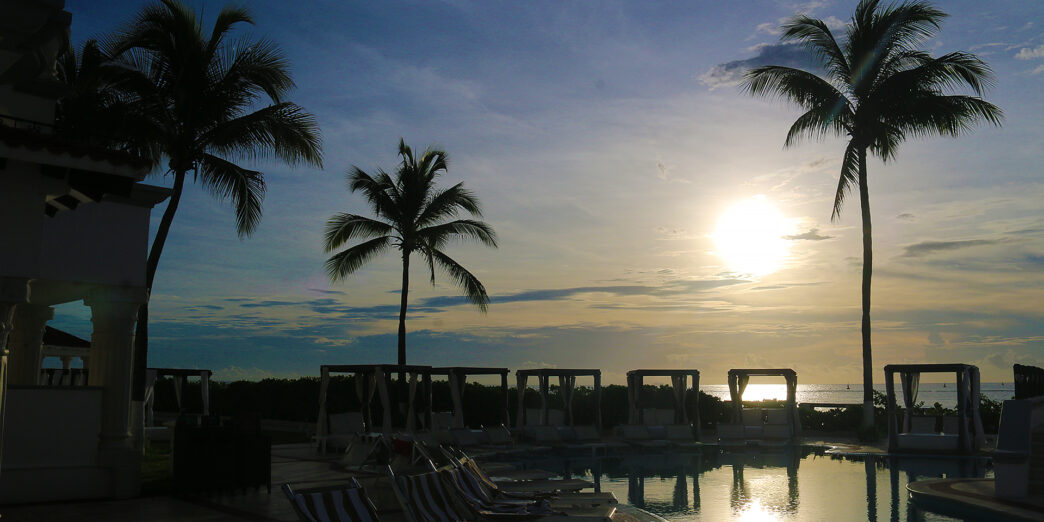 a pool with palm trees and chairs