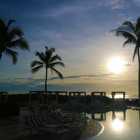 a pool with palm trees and chairs