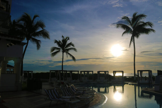 a pool with palm trees and chairs