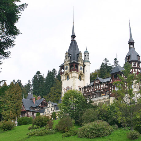 a castle with trees around it with Peleș Castle in the background