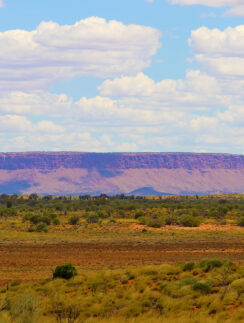 a landscape with a large hill in the distance