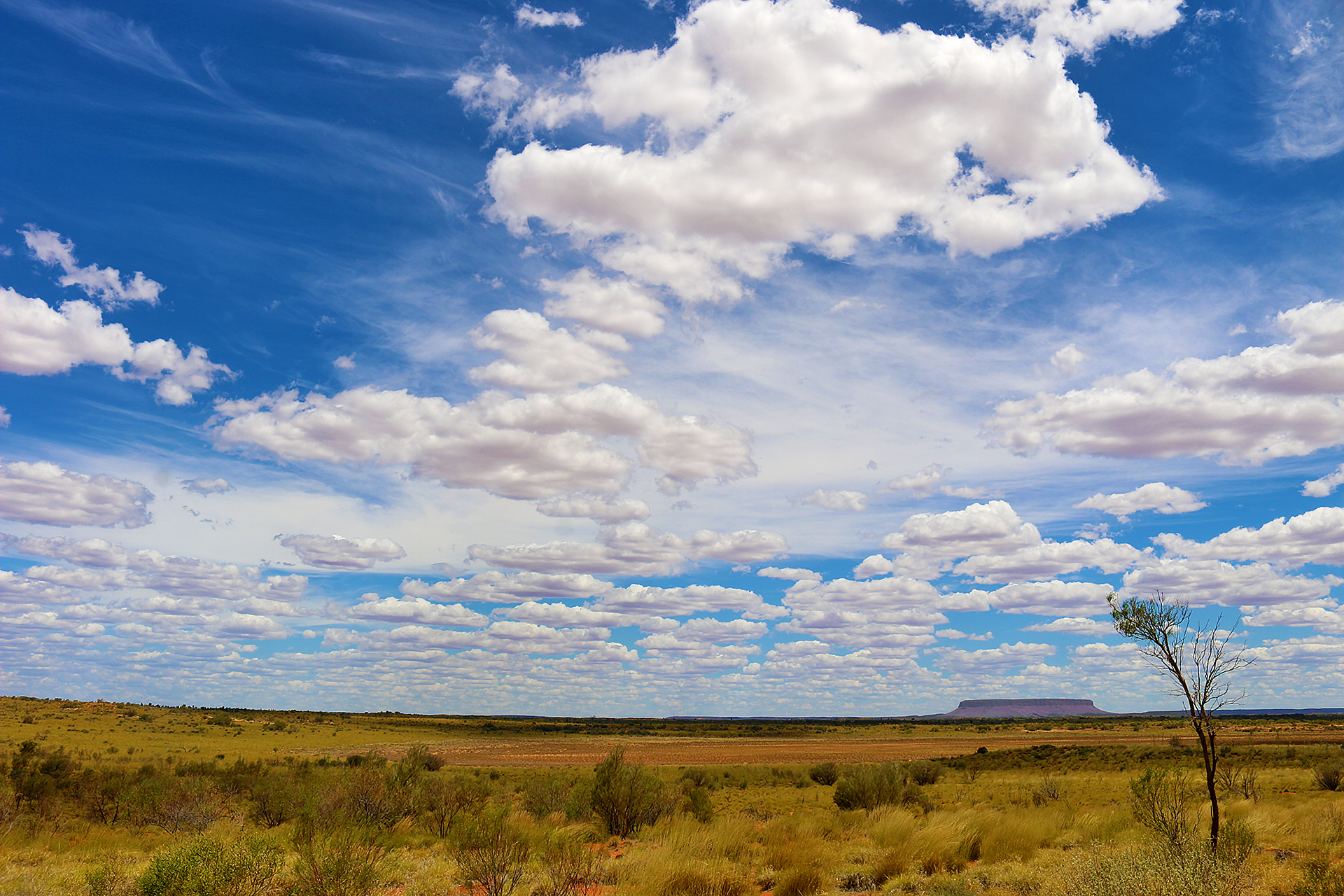 a landscape with a large field and blue sky with clouds