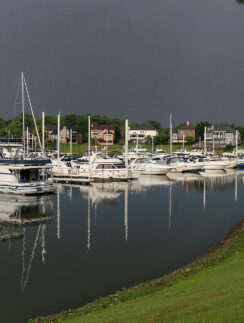 a group of boats in a harbor