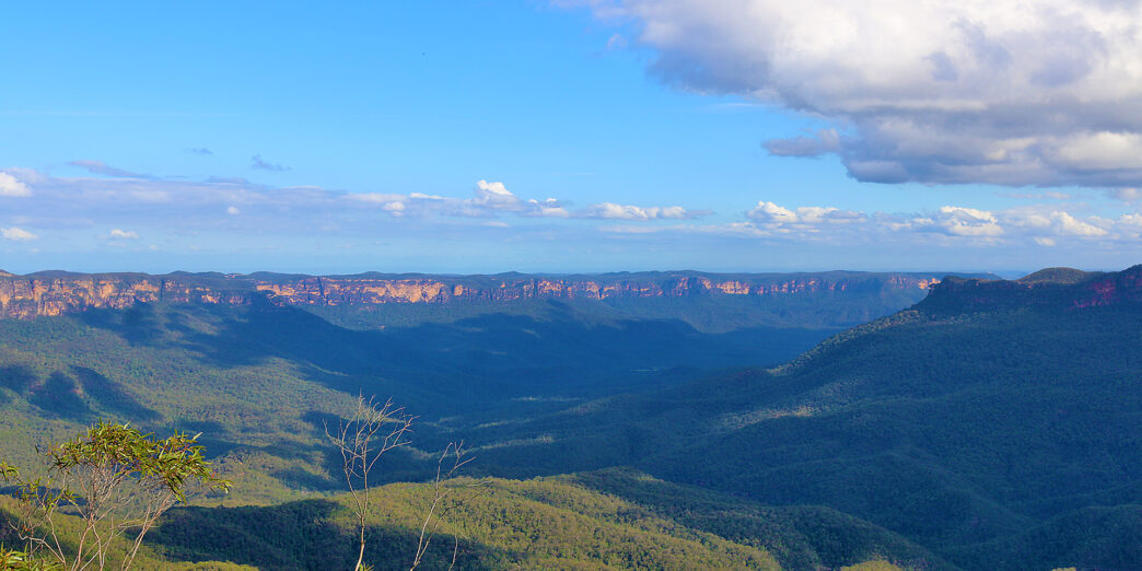 a landscape of a valley with trees and mountains
