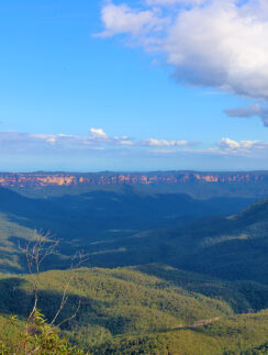 a landscape of a valley with trees and mountains