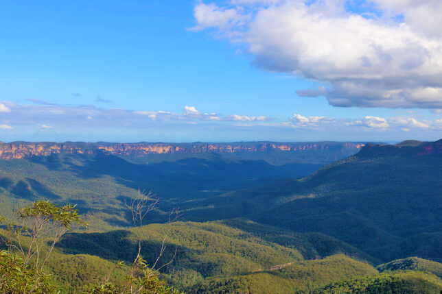a landscape of a valley with trees and mountains