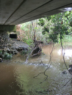 a river under a bridge