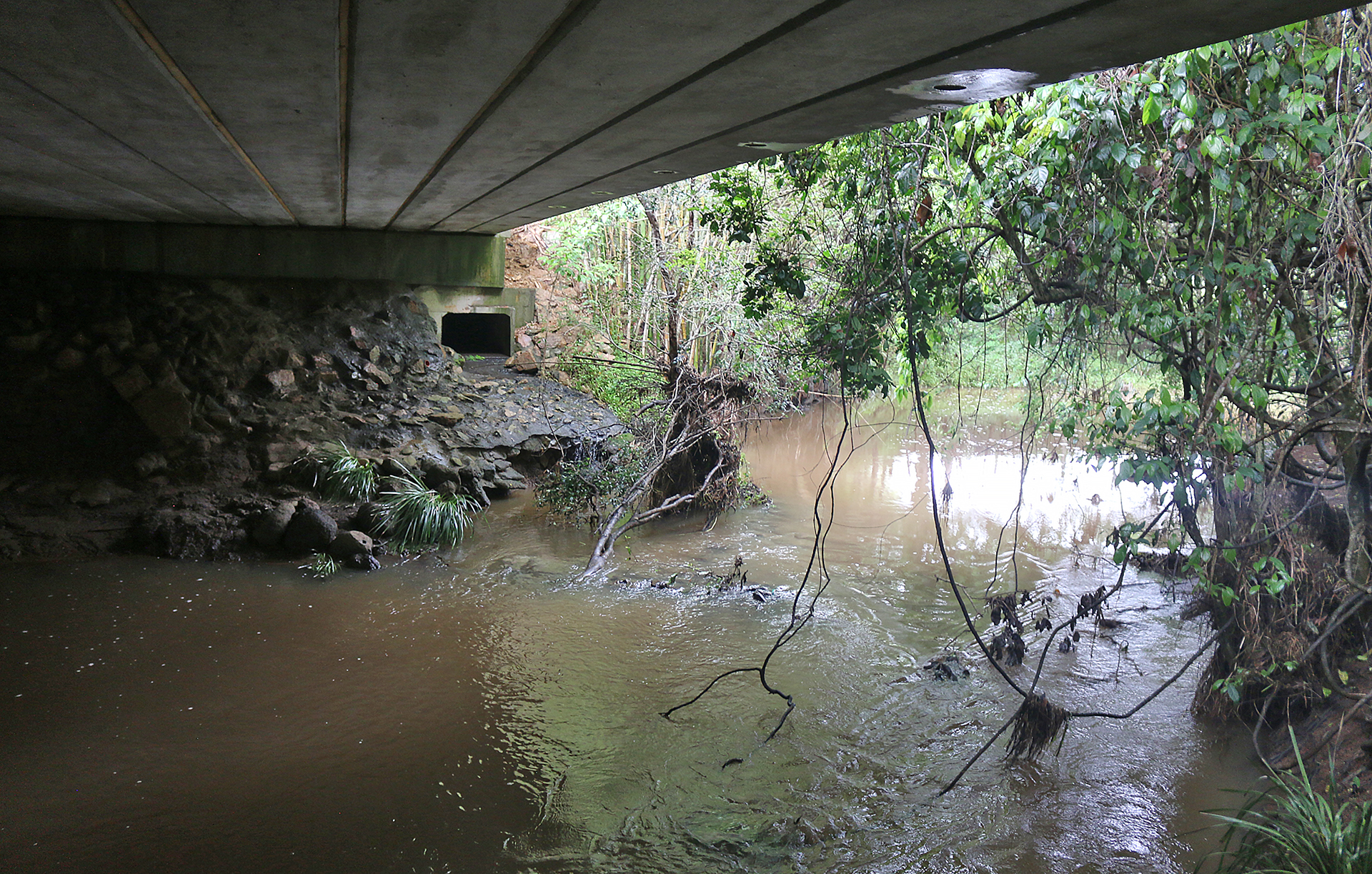 a river under a bridge