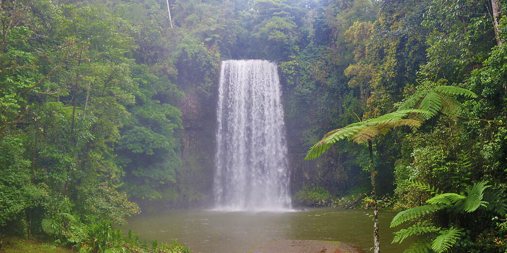a waterfall in a forest