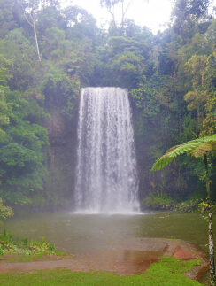 a waterfall in a forest