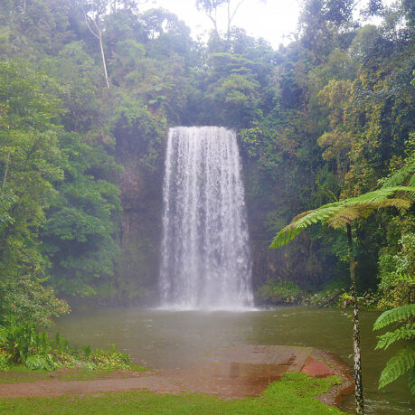 a waterfall in a forest