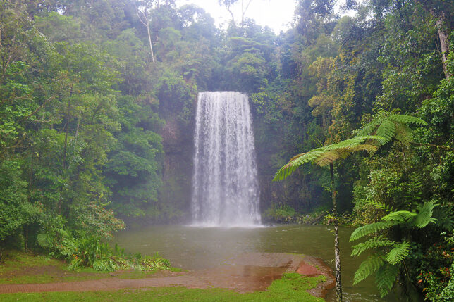 a waterfall in a forest