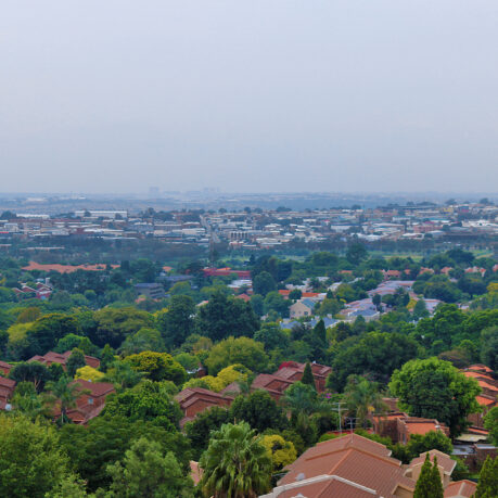 a city with trees and buildings