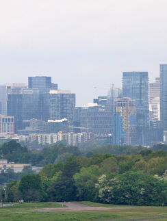a city skyline with trees in the background