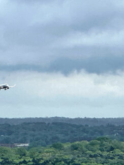 an airplane flying over a forest