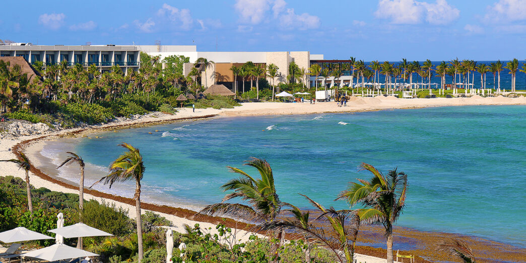 a beach with palm trees and buildings