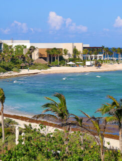 a beach with palm trees and buildings