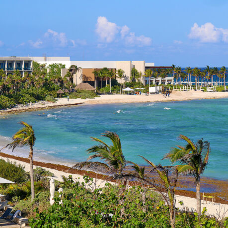a beach with palm trees and buildings