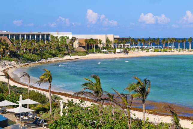 a beach with palm trees and buildings