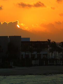 a building with palm trees and a beach in the background