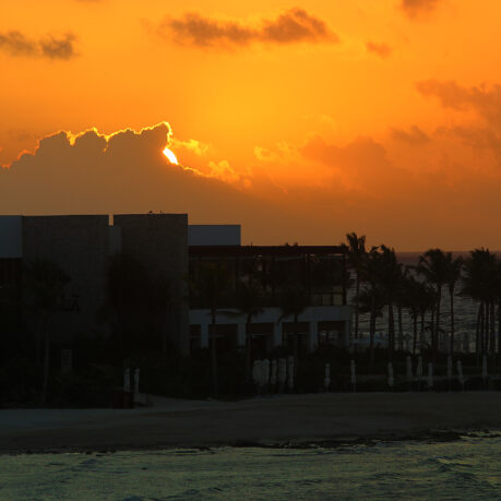 a building with palm trees and a beach in the background