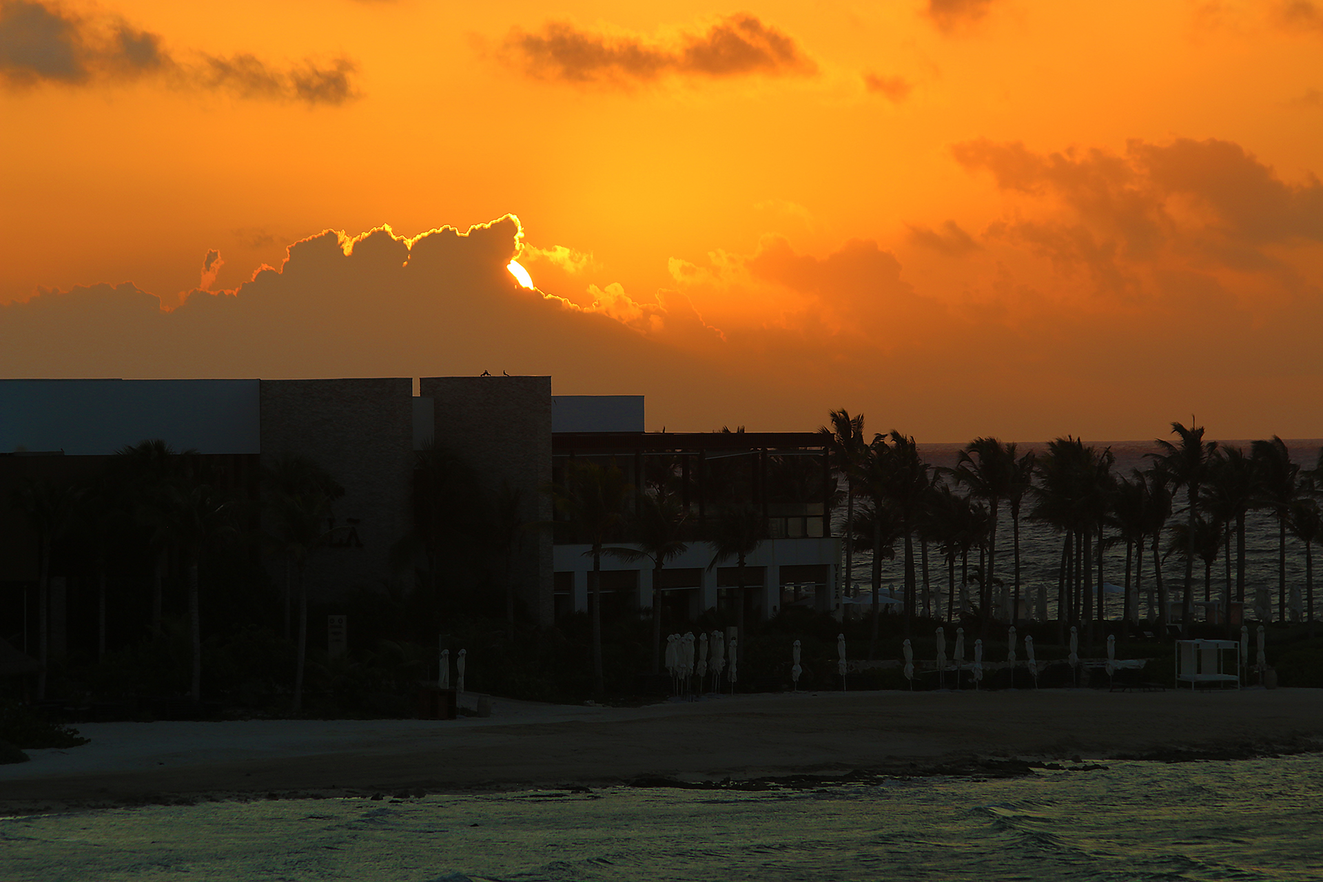 a building with palm trees and a beach in the background