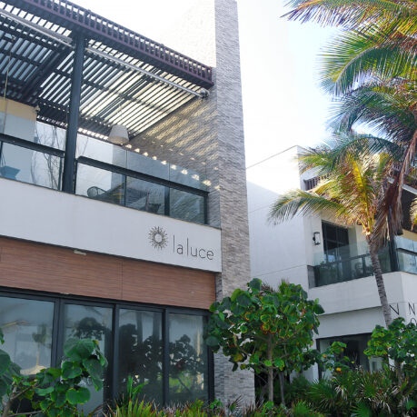 a building with palm trees and a roof