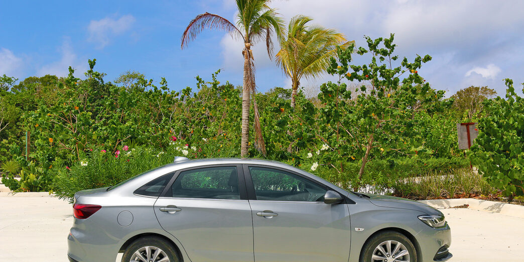 a car parked in front of a palm tree