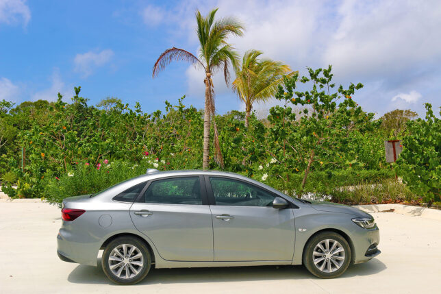 a car parked in front of a palm tree
