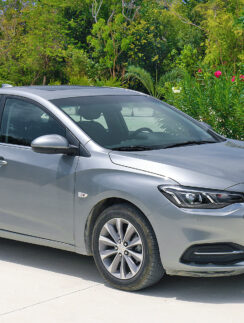 a car parked in front of a bush