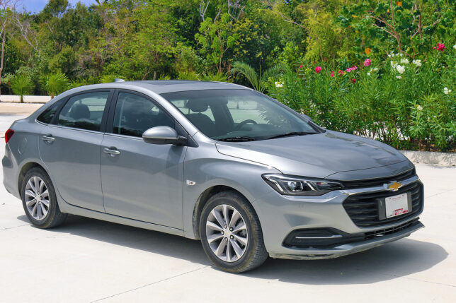 a car parked in front of a bush