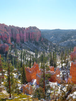 a snow covered mountains and trees