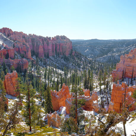 a snow covered mountains and trees