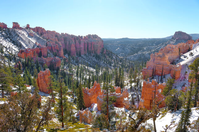a snow covered mountains and trees