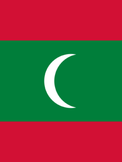 a red green and white flag