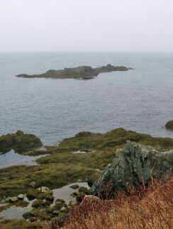 a rocky islands in the water