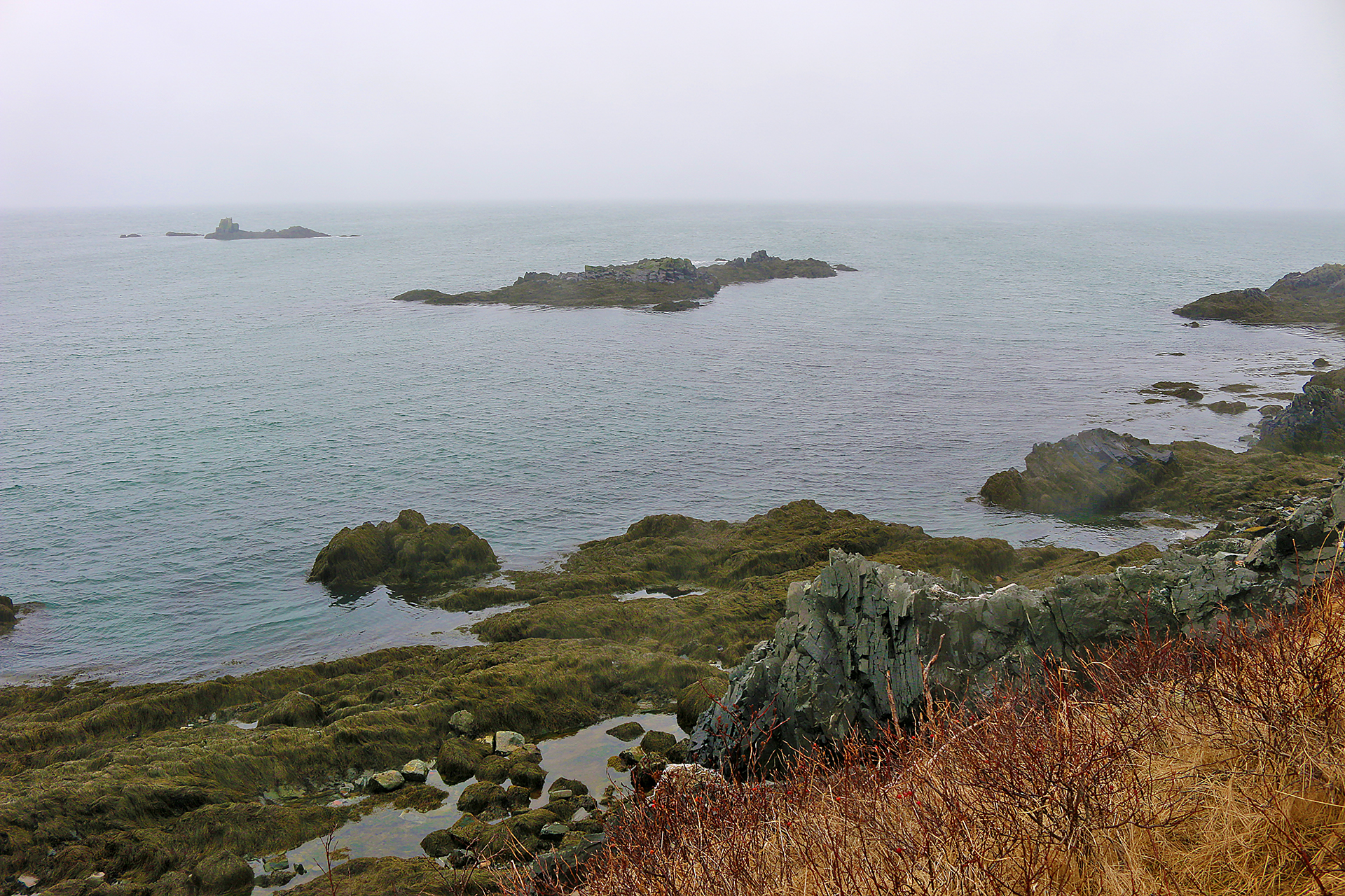 a rocky islands in the water