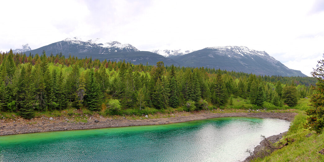 a river with trees and mountains in the background