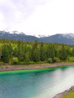 a river with trees and mountains in the background
