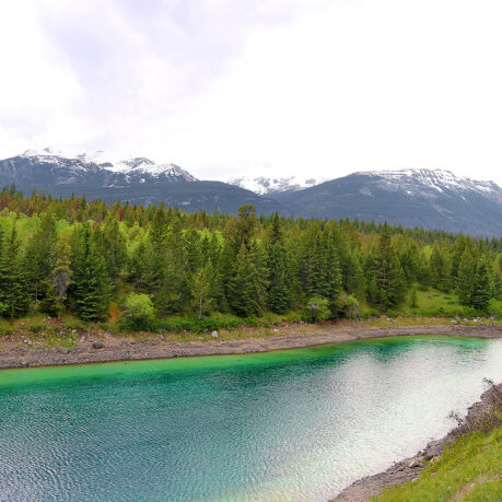 a river with trees and mountains in the background