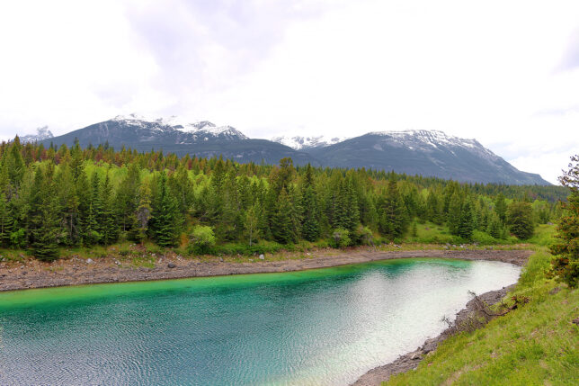 a river with trees and mountains in the background