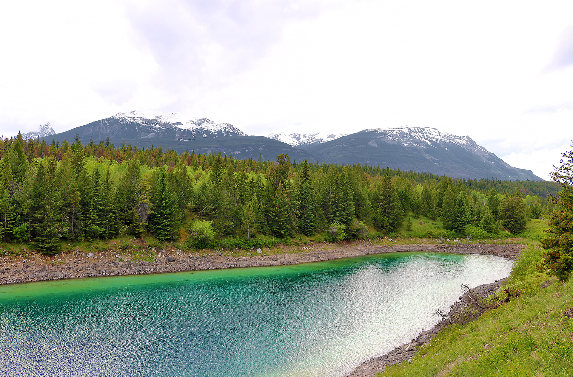 a river with trees and mountains in the background