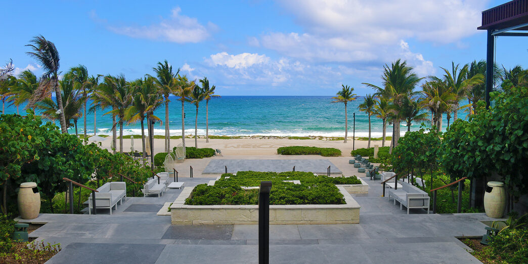 a beach with palm trees and a blue sky