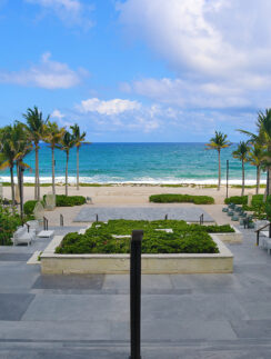 a beach with palm trees and a blue sky