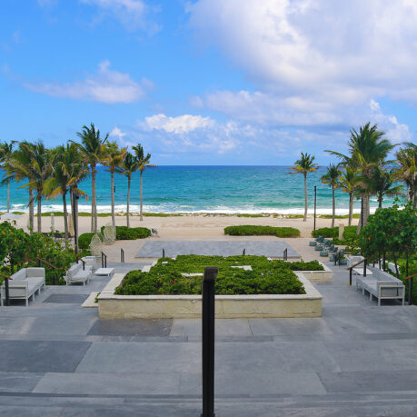 a beach with palm trees and a blue sky